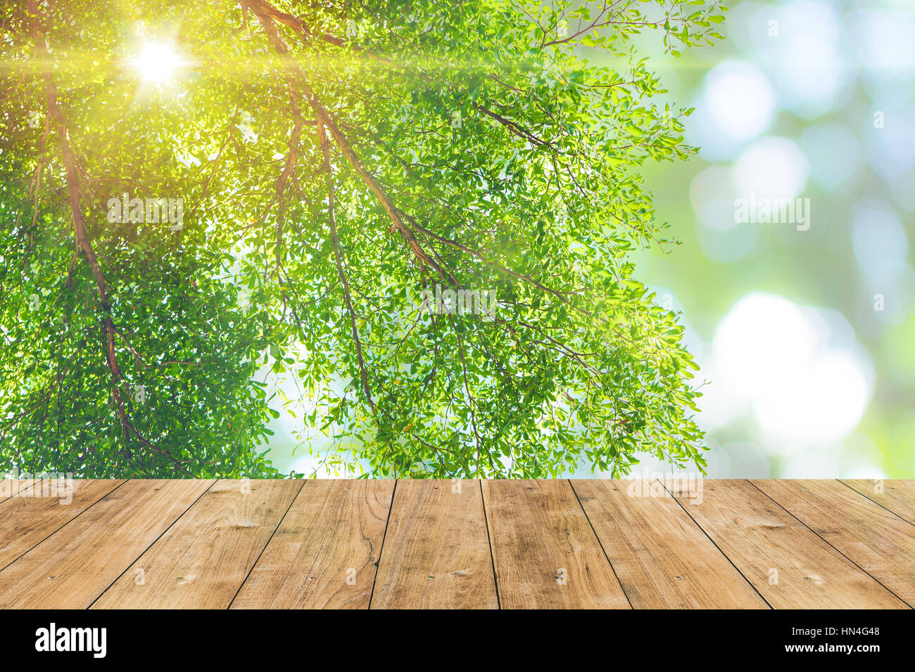 Plancher bois avec green nature bokeh vintage la nuance de couleur de fond. Banque D'Images