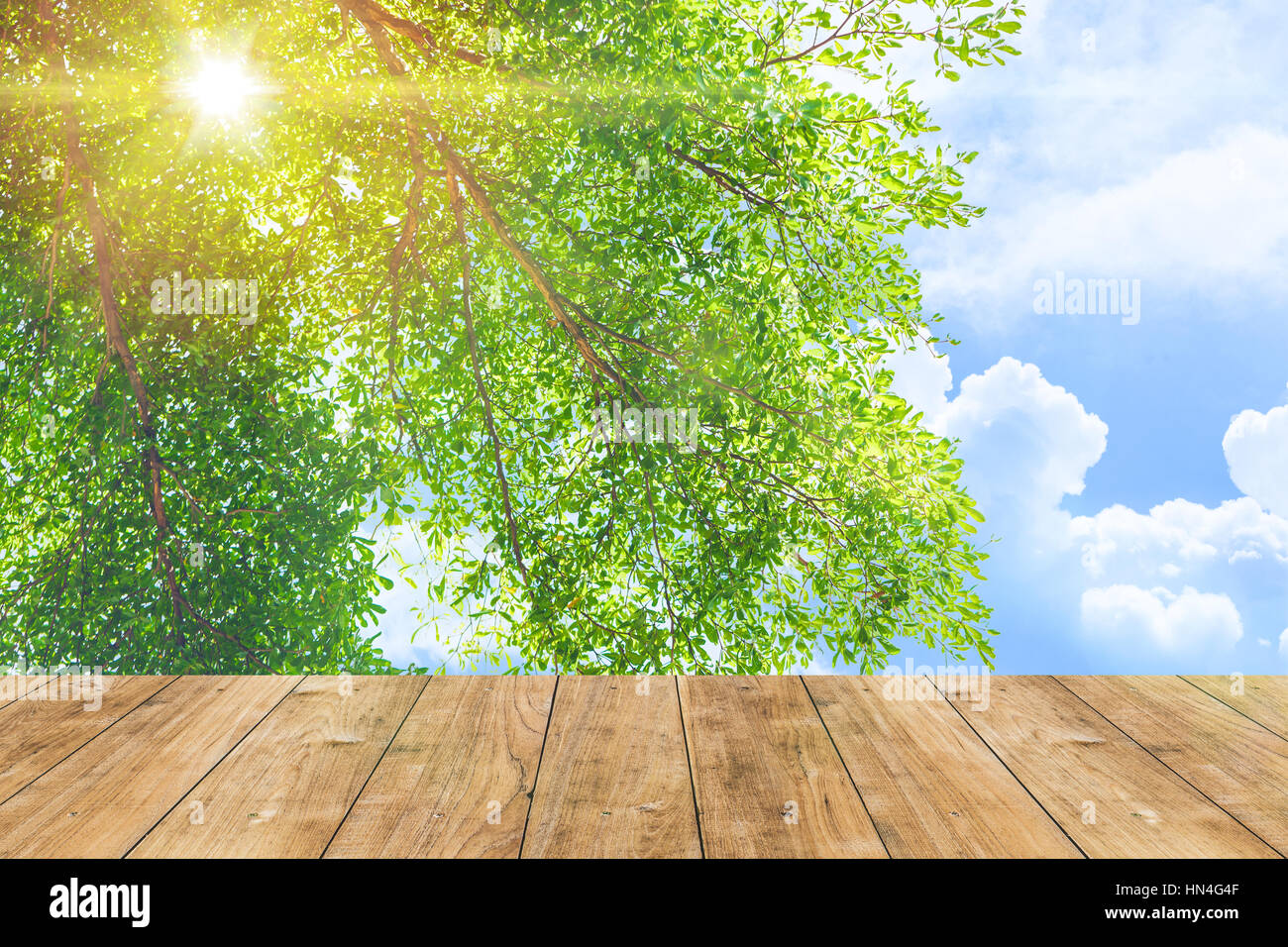 Nature plein air parc arbre vert avec ciel bleu soleil avec plancher de bois pour l'arrière plan. Banque D'Images