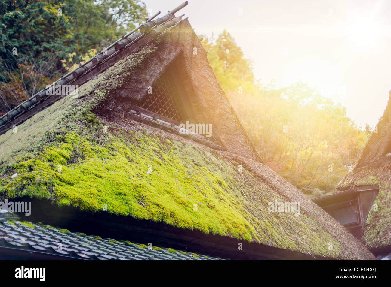 De style Gassho, toit de maison dans la forêt, à Kyoto, au Japon. Banque D'Images