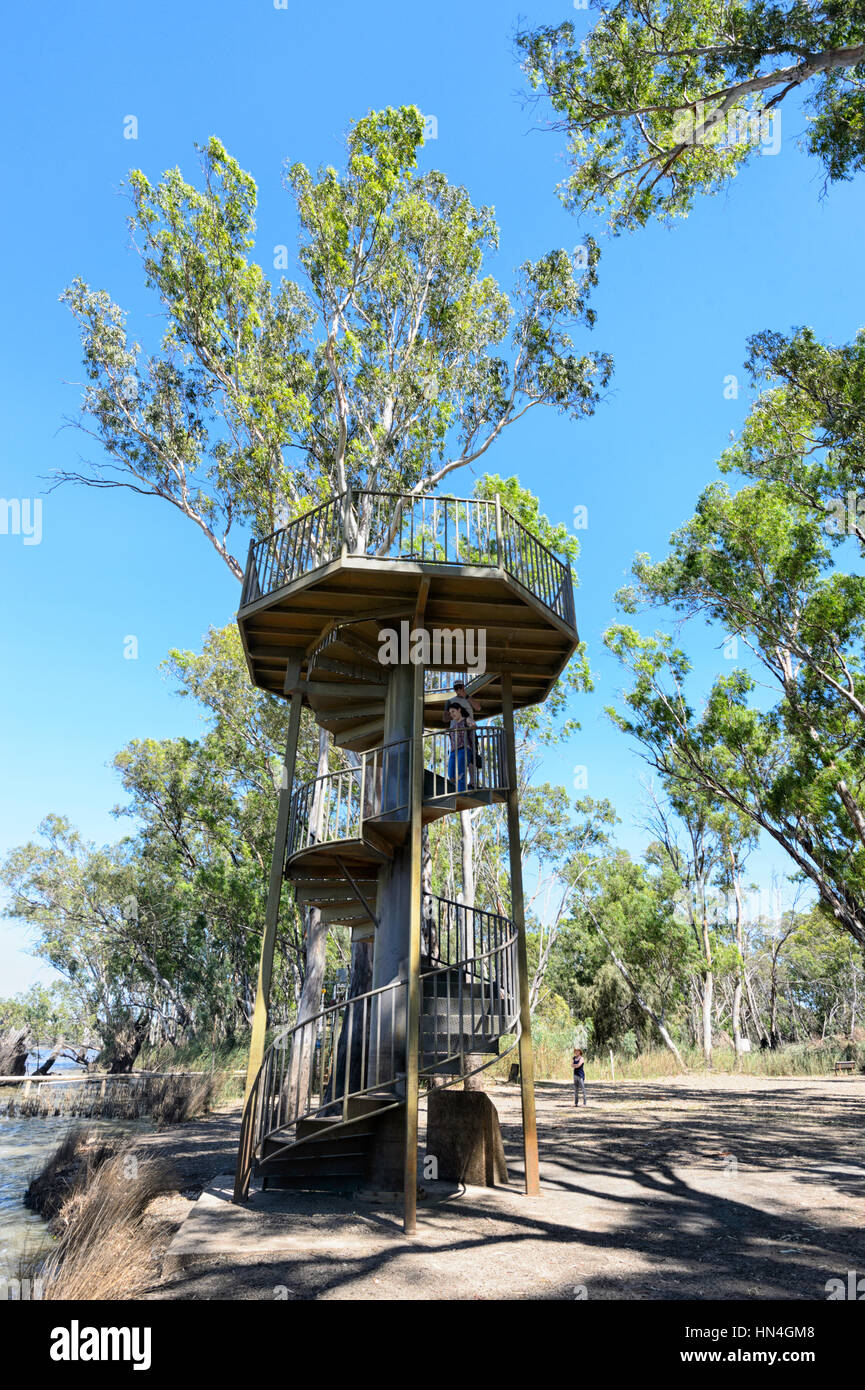 Tour d'observation à la jonction de la rivière Murray et Darling, Wentworth, New South Wales, Australie Banque D'Images