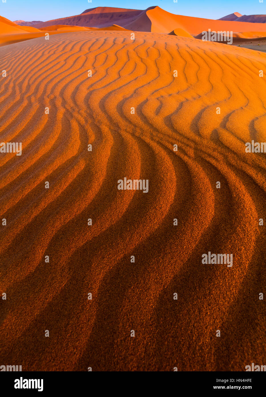 Sossusvlei est un sel et de l'argile pan entouré de hautes dunes rouges, situé dans la partie sud du désert du Namib, dans le Namib-Naukluft National Park Banque D'Images