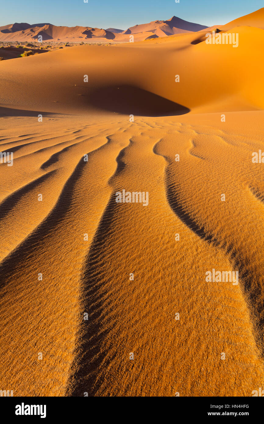 Sossusvlei est un sel et de l'argile pan entouré de hautes dunes rouges, situé dans la partie sud du désert du Namib, dans le Namib-Naukluft National Park Banque D'Images