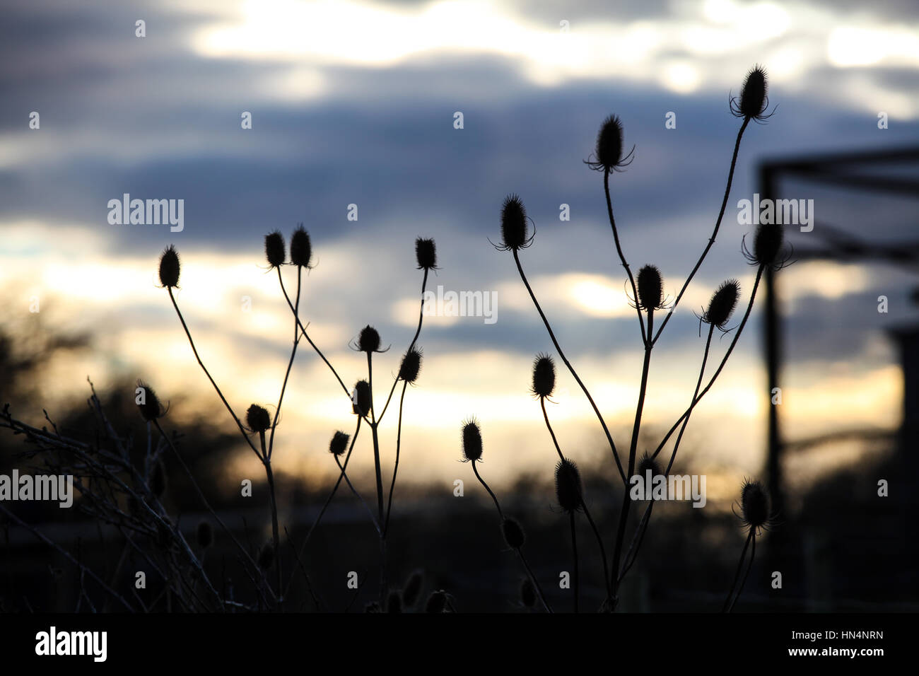 Dans l'usine de la mise au point Banque D'Images