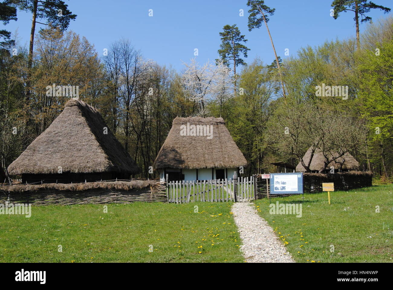 Vieilles maisons traditionnelles roumaines Banque D'Images