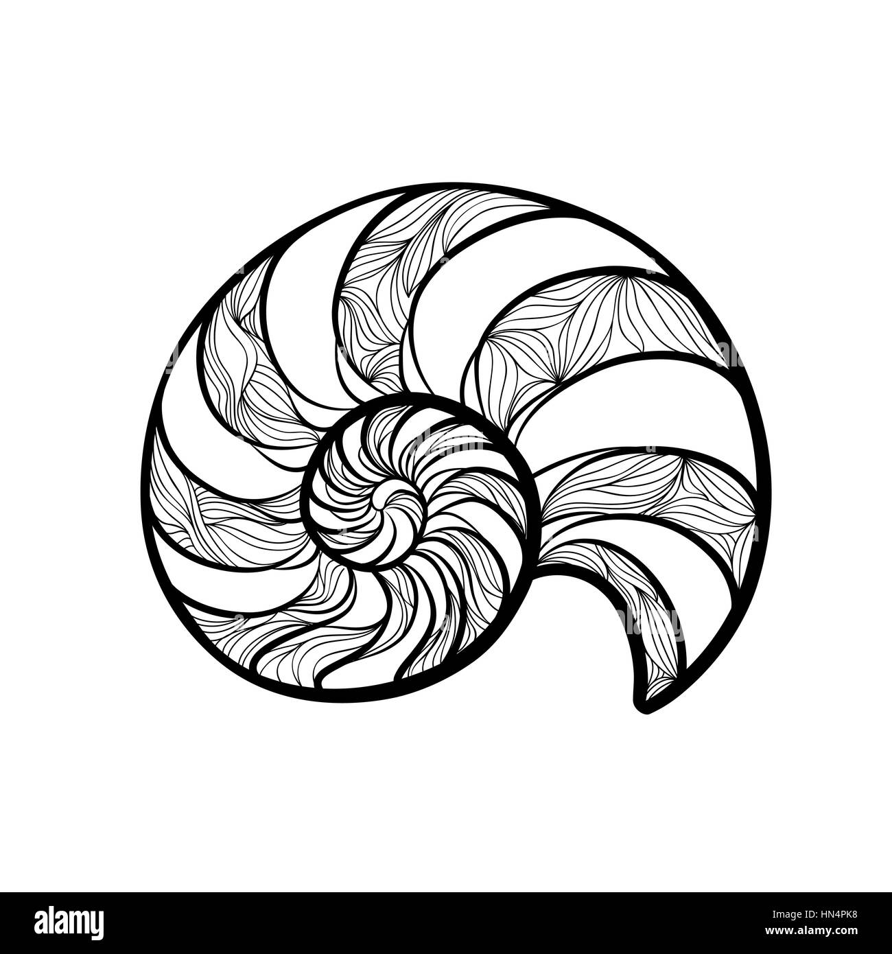 Coquillage nautilus. sea shell set ingraved vector illustration isolé sur fond blanc. doodle sea shell. La vie marine ornamental image zentangle Illustration de Vecteur