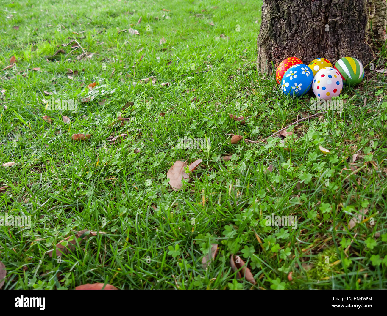 Les œufs de Pâques cachés derrière un tronc d'arbre pour la chasse jeu /// se cacher oeuf peint en vert prairie pelouse décorées appartement de vacances cadeau fête du printemps Banque D'Images