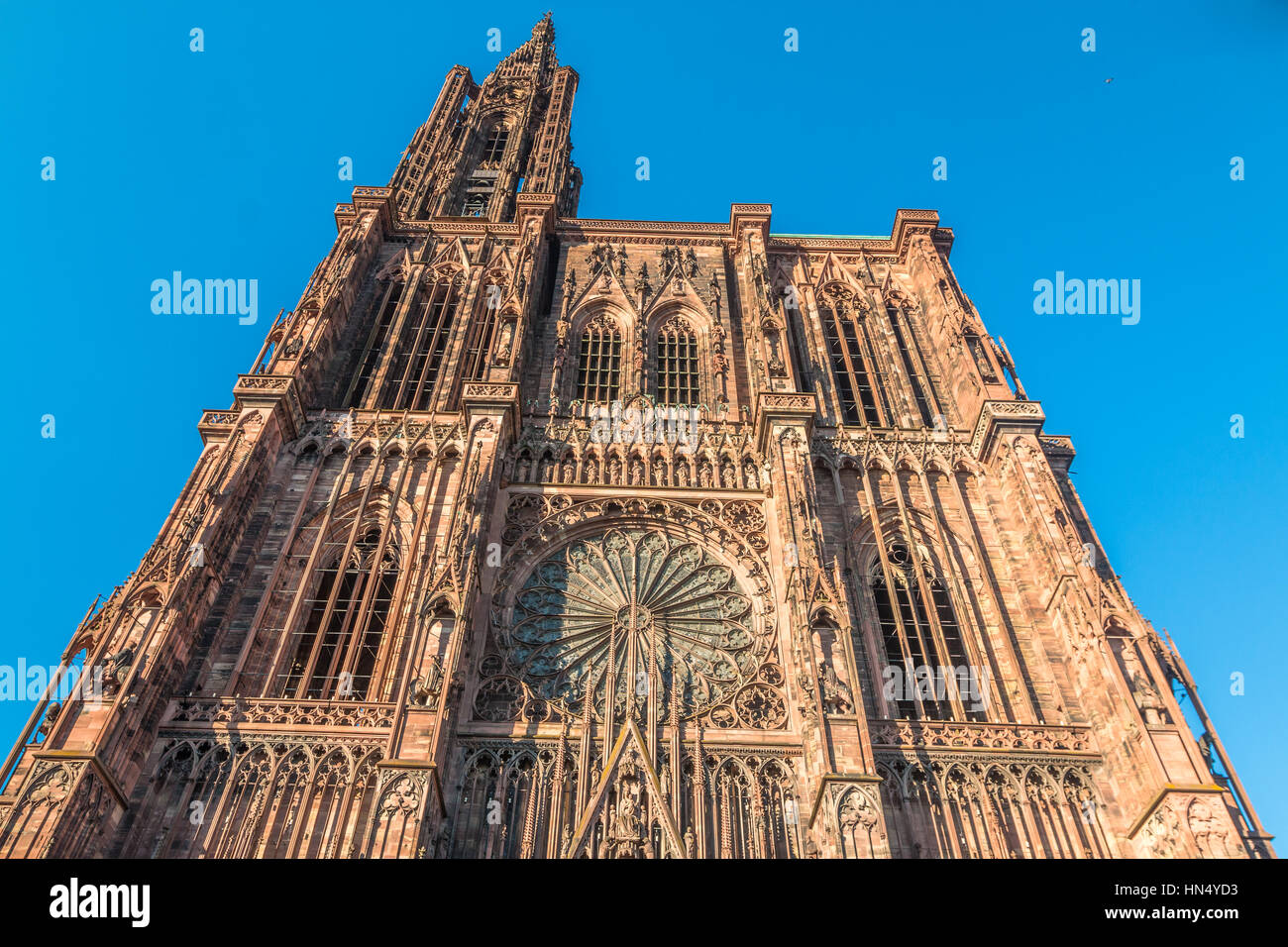 La cathédrale de Strasbourg Banque D'Images
