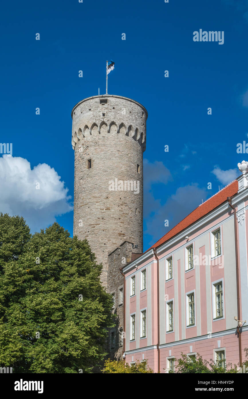 Tour de pointe à Tallinn Estonie Banque D'Images
