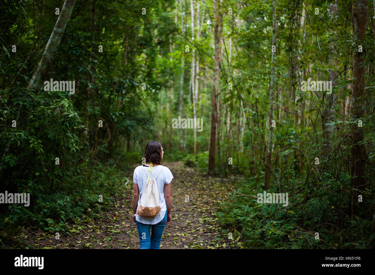 Femme marche dans la jungle, au Laos Banque D'Images