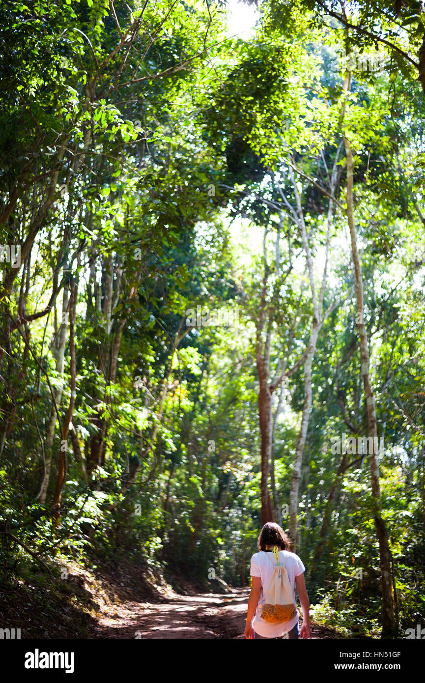 Femme marche dans la jungle, au Laos Banque D'Images