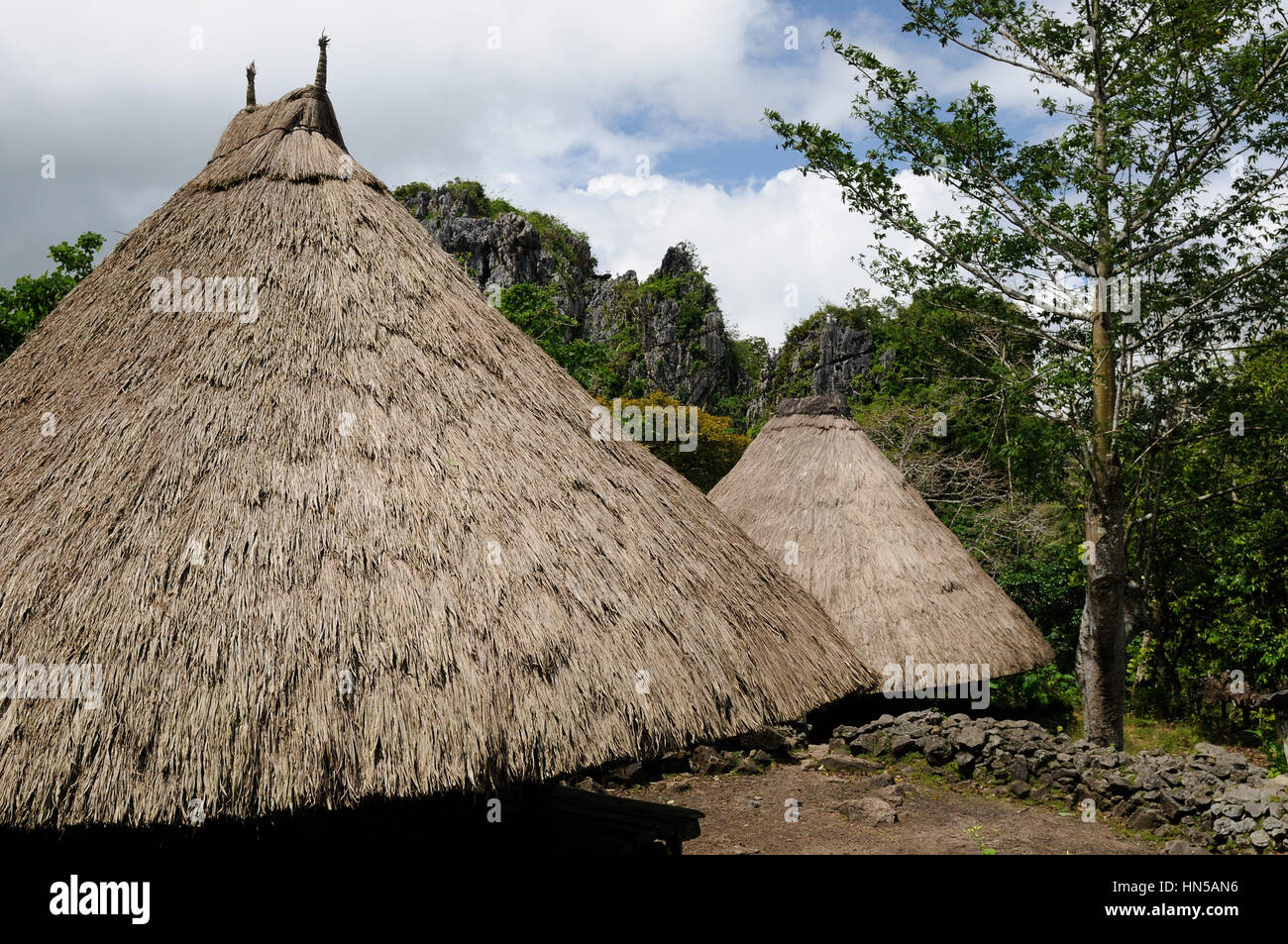 Village de paille ethniques sur une île de Timor en Indonésie Banque D'Images