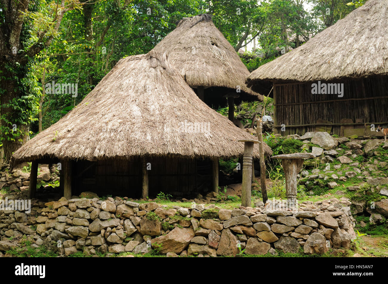 Maison de paille dans le village ethnique sur une île de Timor Photo Stock  - Alamy