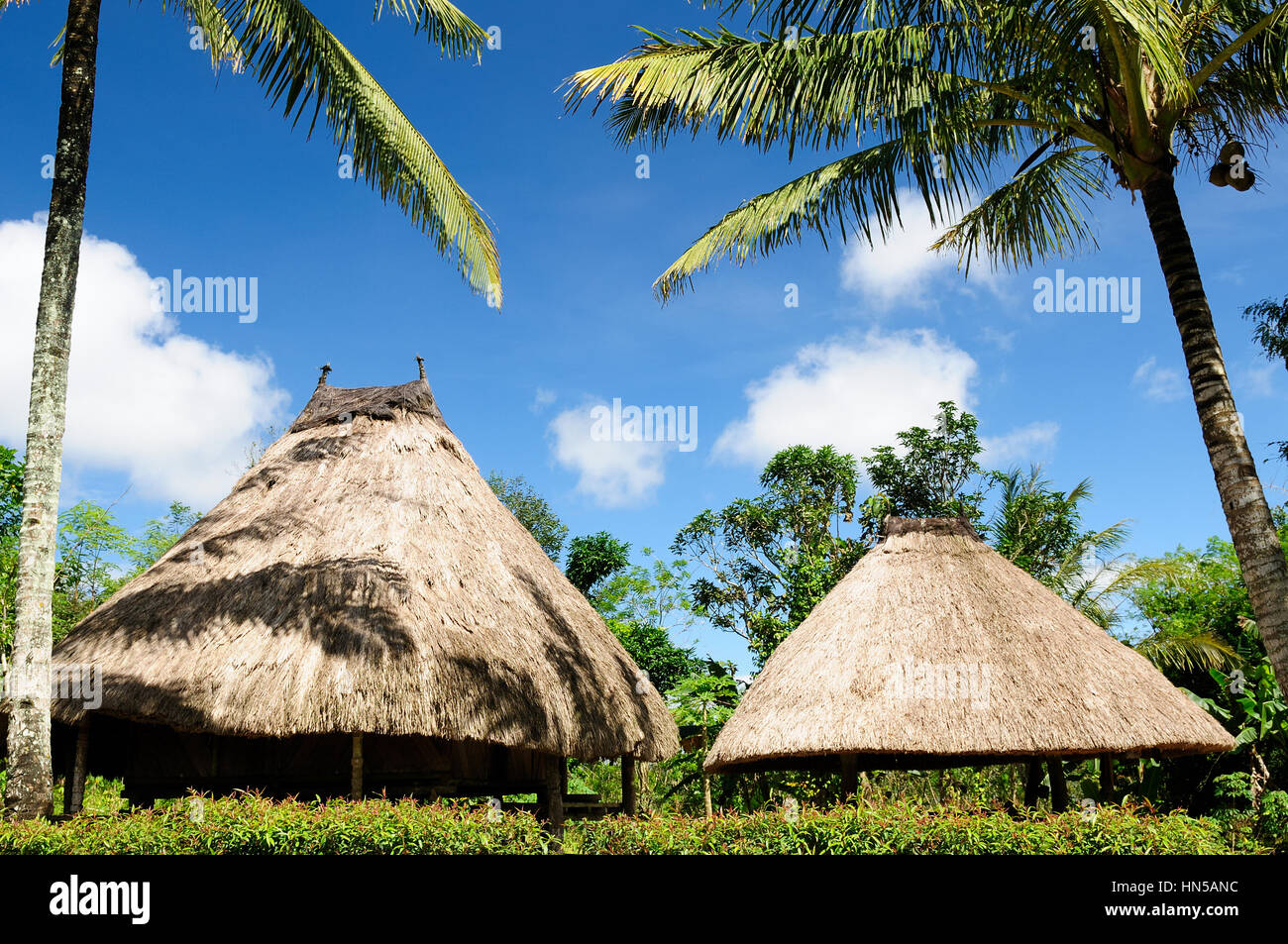 Maison de paille dans le village ethnique sur une île de Timor Banque D'Images