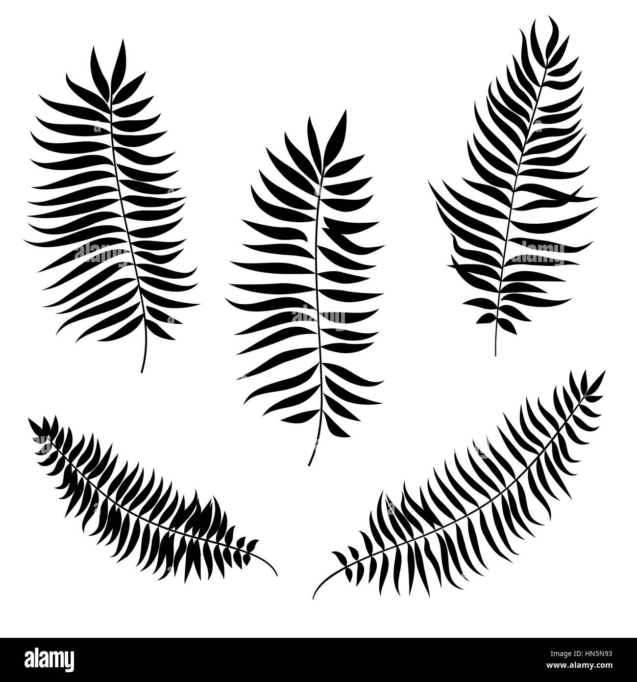 Jeu de feuilles. La silhouette de la feuille de palmier collection vector Illustration de Vecteur