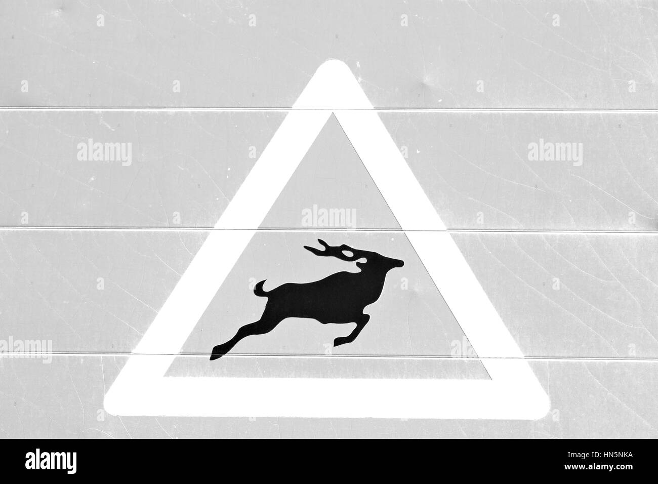 Blur en afrique du sud de près de l'inscription comme texture background Banque D'Images