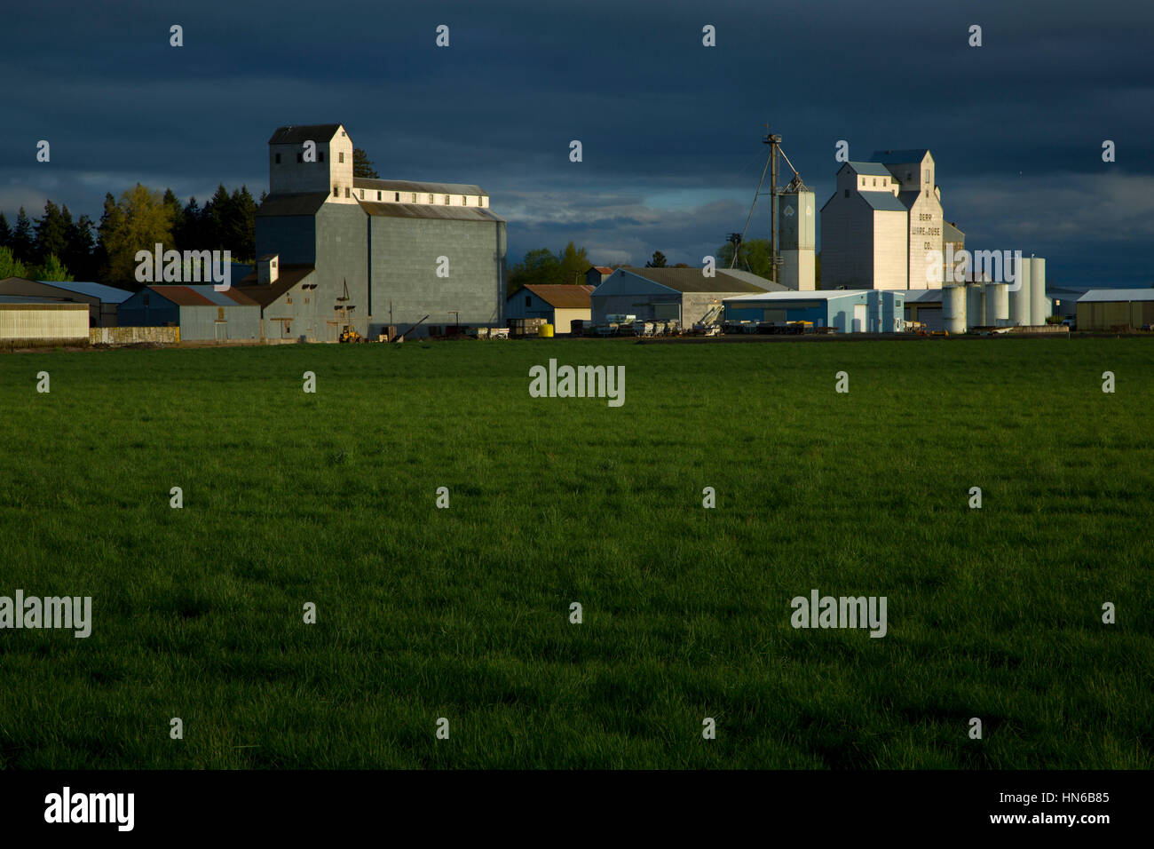 L'élévateur à grain, Polk County, Oregon Banque D'Images