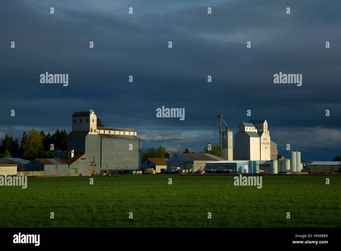 L'élévateur à grain, Polk County, Oregon Banque D'Images