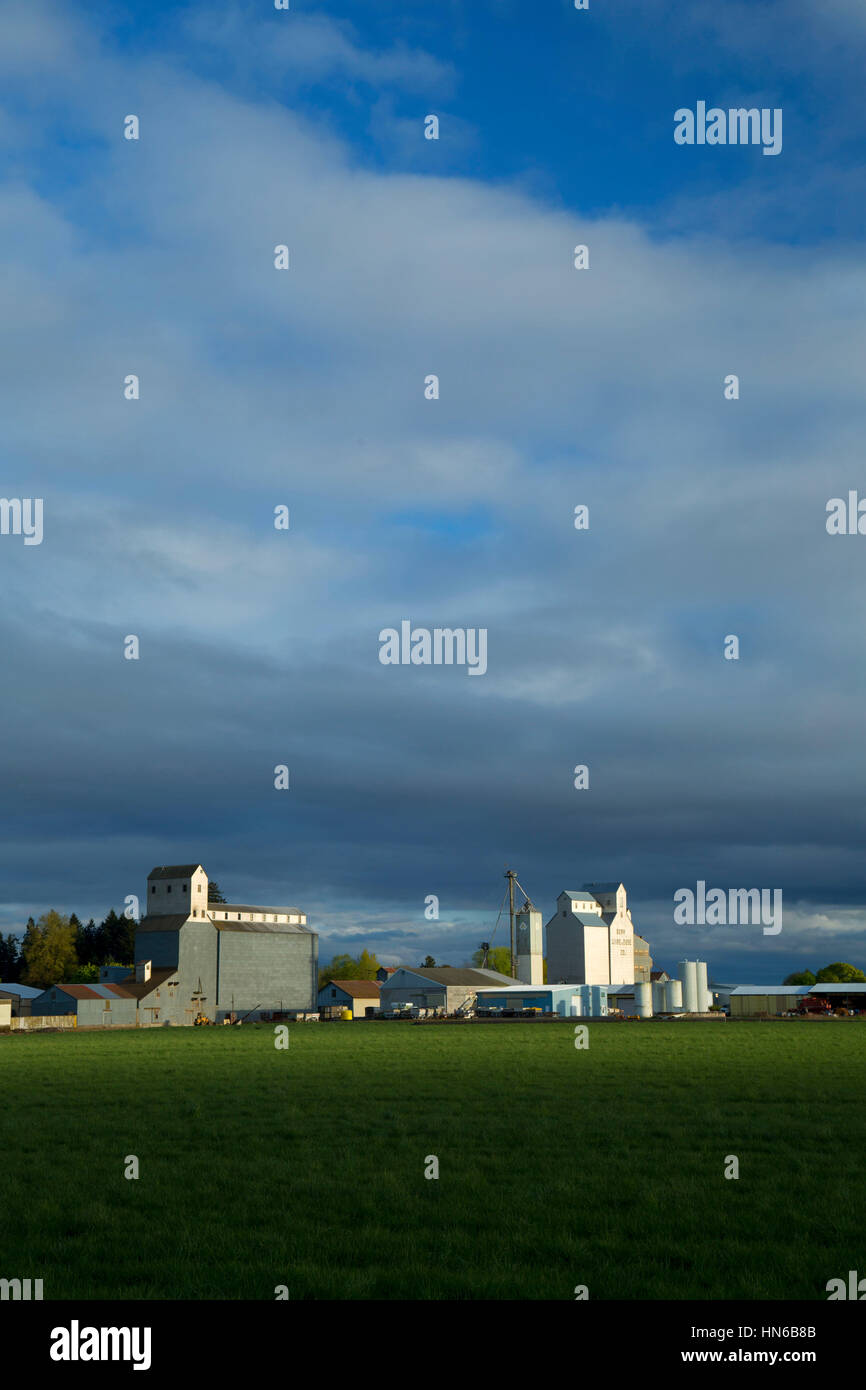L'élévateur à grain, Polk County, Oregon Banque D'Images