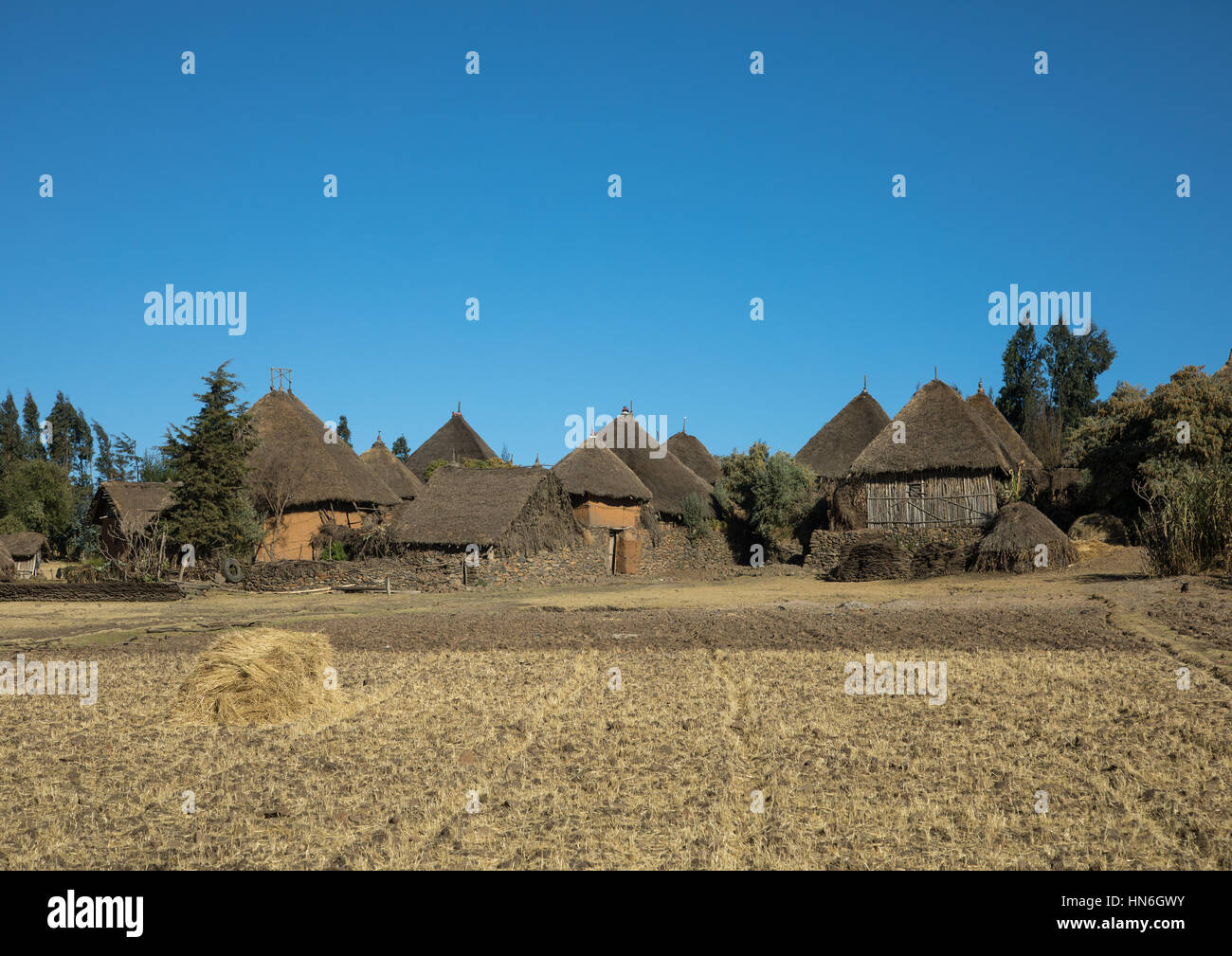 Village de maisons en pierre dans les highlands, région d'Amhara, Debre Birhan, Ethiopie Banque D'Images