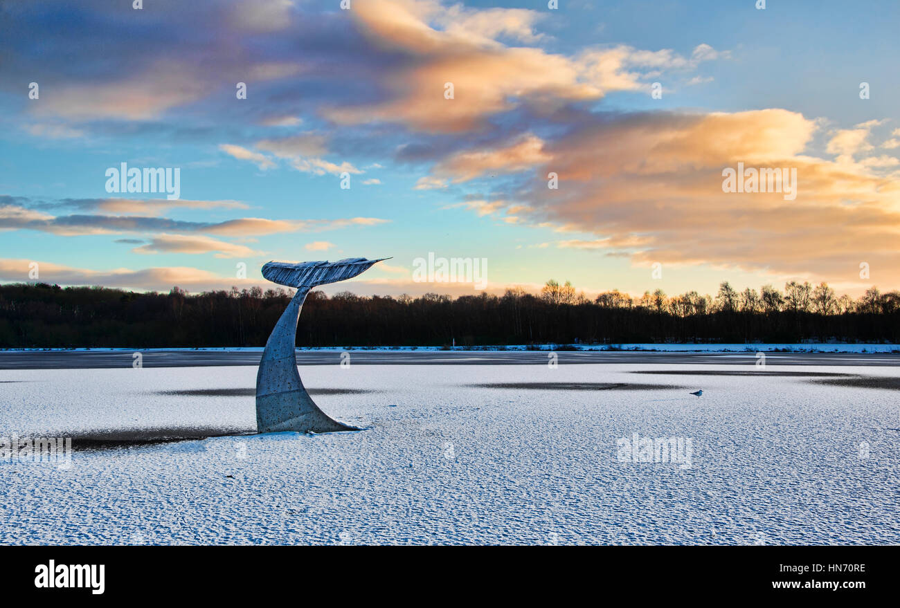 Scène de neige avec queue de Baleine au parc du Lanarkshire en Écosse Banque D'Images