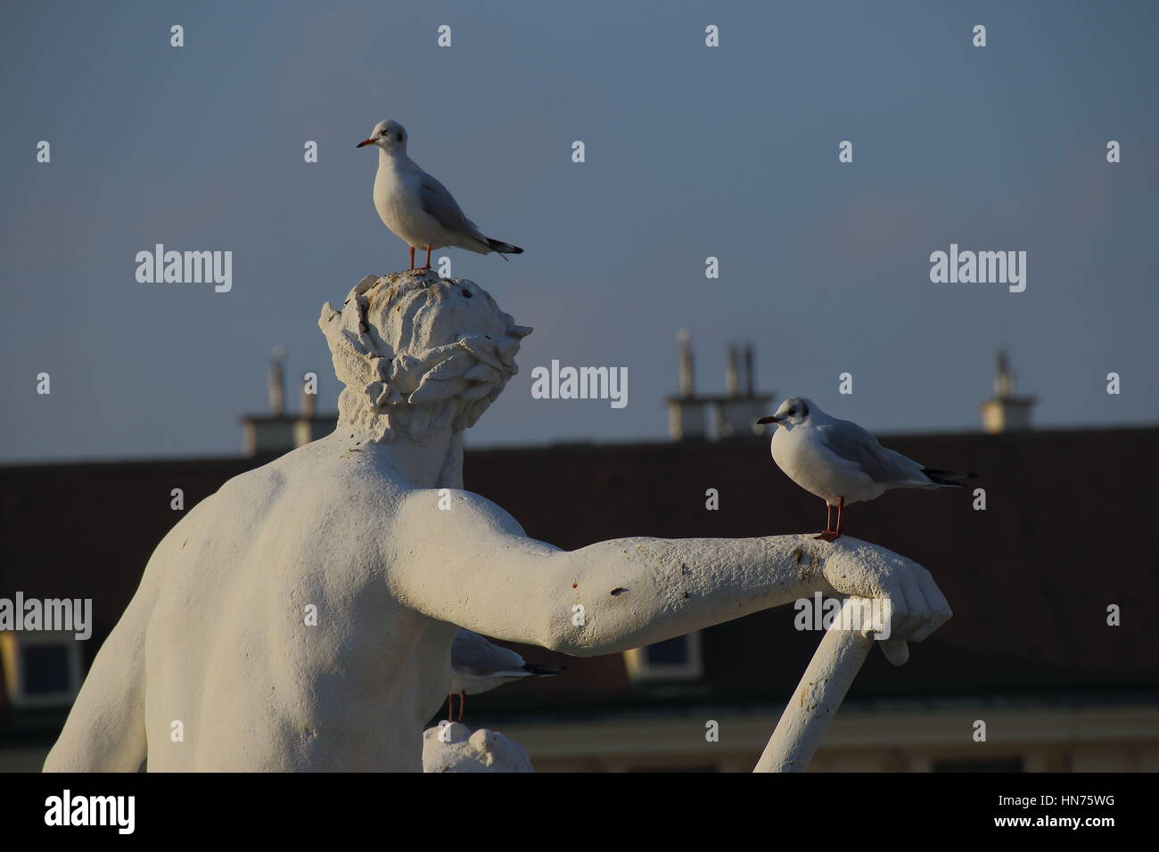 Mouettes perchées sur une statue de droit avec l'espace de copie au format paysage Banque D'Images