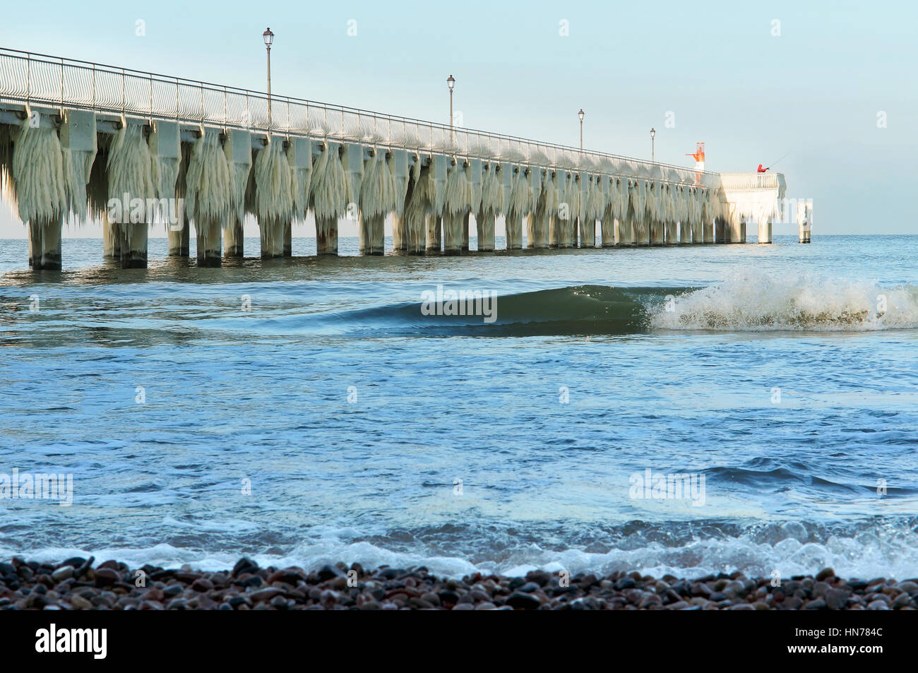Articles surgelés, jour de grand froid, congelé, gelée, recouverte de glace Banque D'Images
