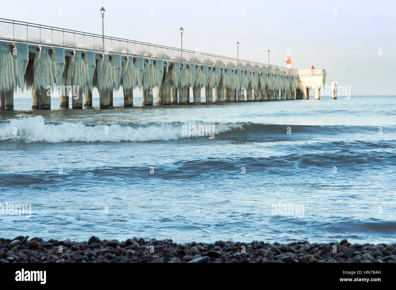 Articles surgelés, jour de grand froid, congelé, gelée, recouverte de glace Banque D'Images