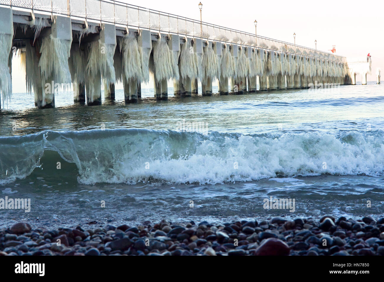 Articles surgelés, jour de grand froid, congelé, gelée, recouverte de glace Banque D'Images