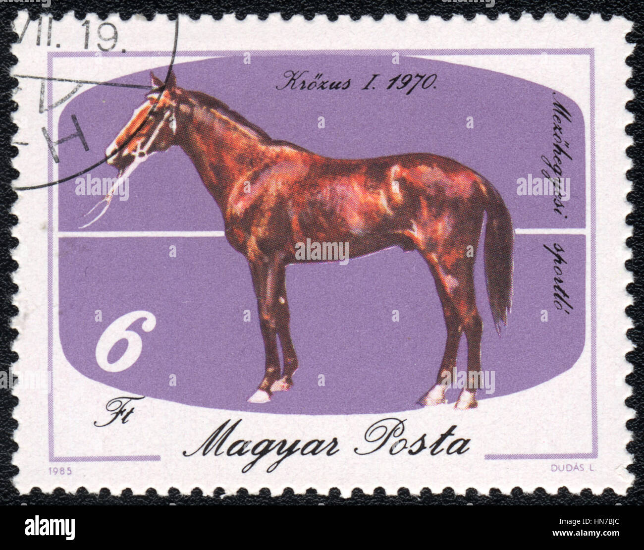 Un timbre-poste imprimé en Hongrie montre une Krozus Brown (Equus caballus) debout sur un fond violet. J'Krozus 1970, chevaux, vers 1985 série Banque D'Images