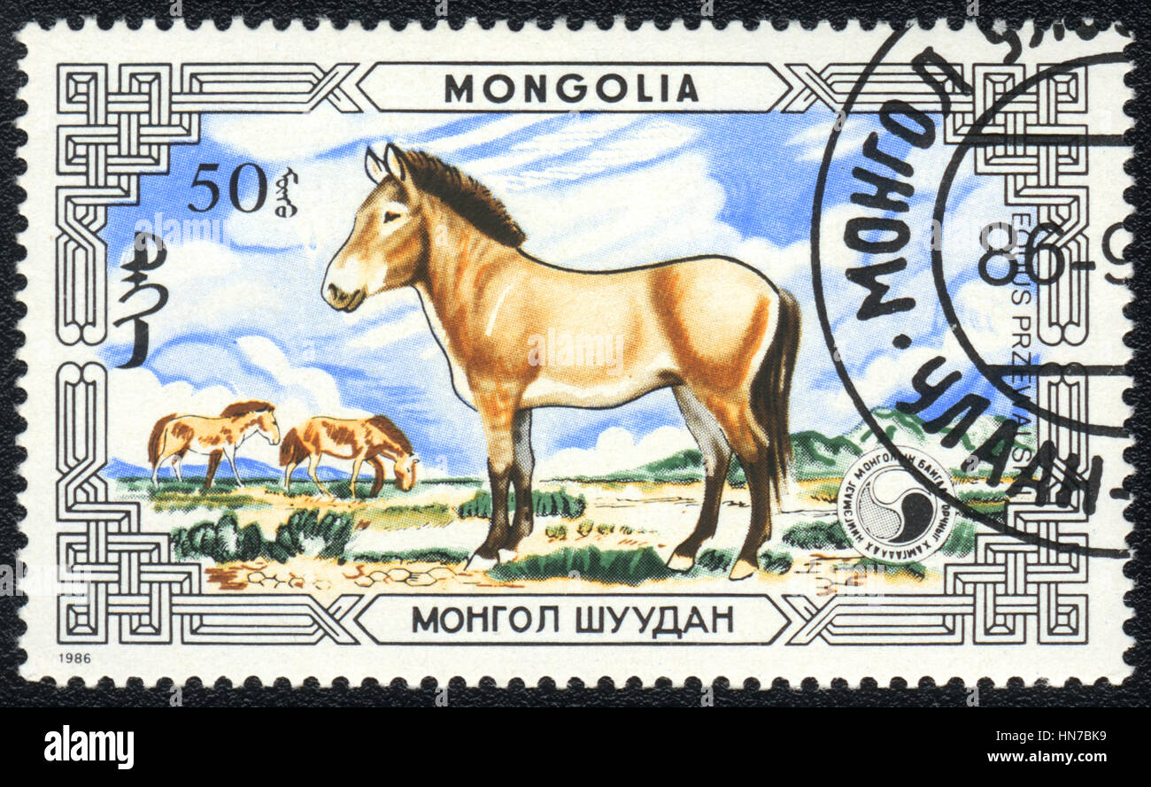 Un timbre-poste imprimé en Mongolie montre un les chevaux sauvages (Equus przewalskii), série, vers 1986 Banque D'Images