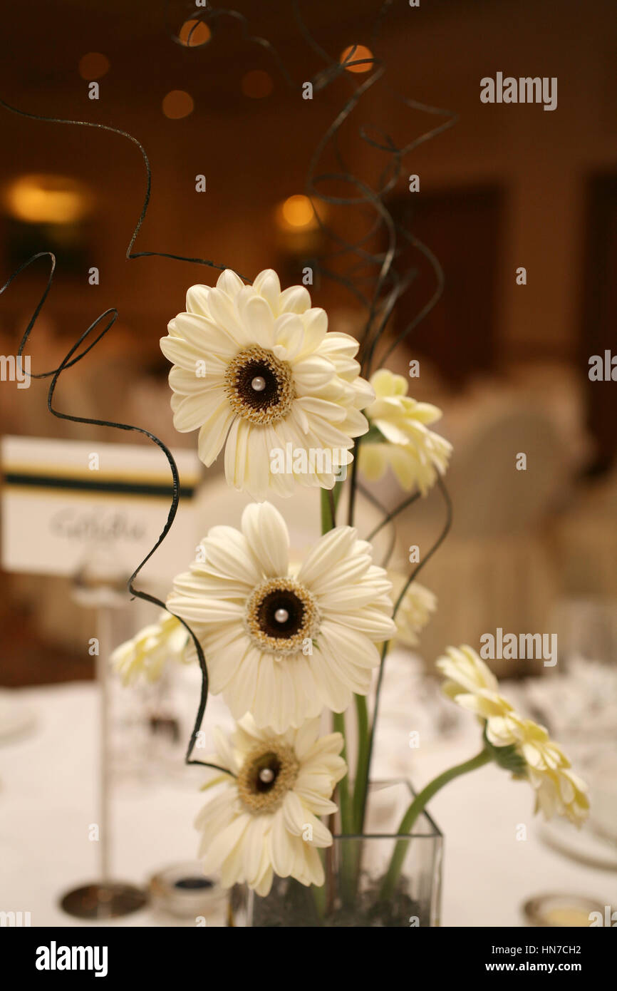 Centre de table mariage Gerberas blancs Banque D'Images