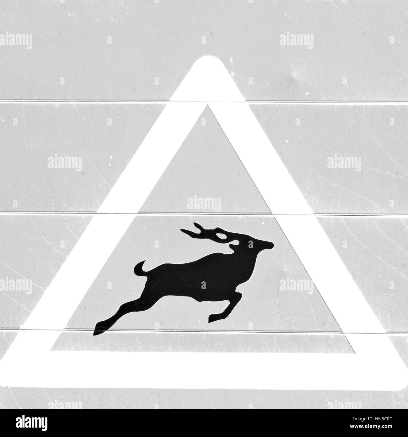 Blur en afrique du sud de près de l'inscription comme texture background Banque D'Images