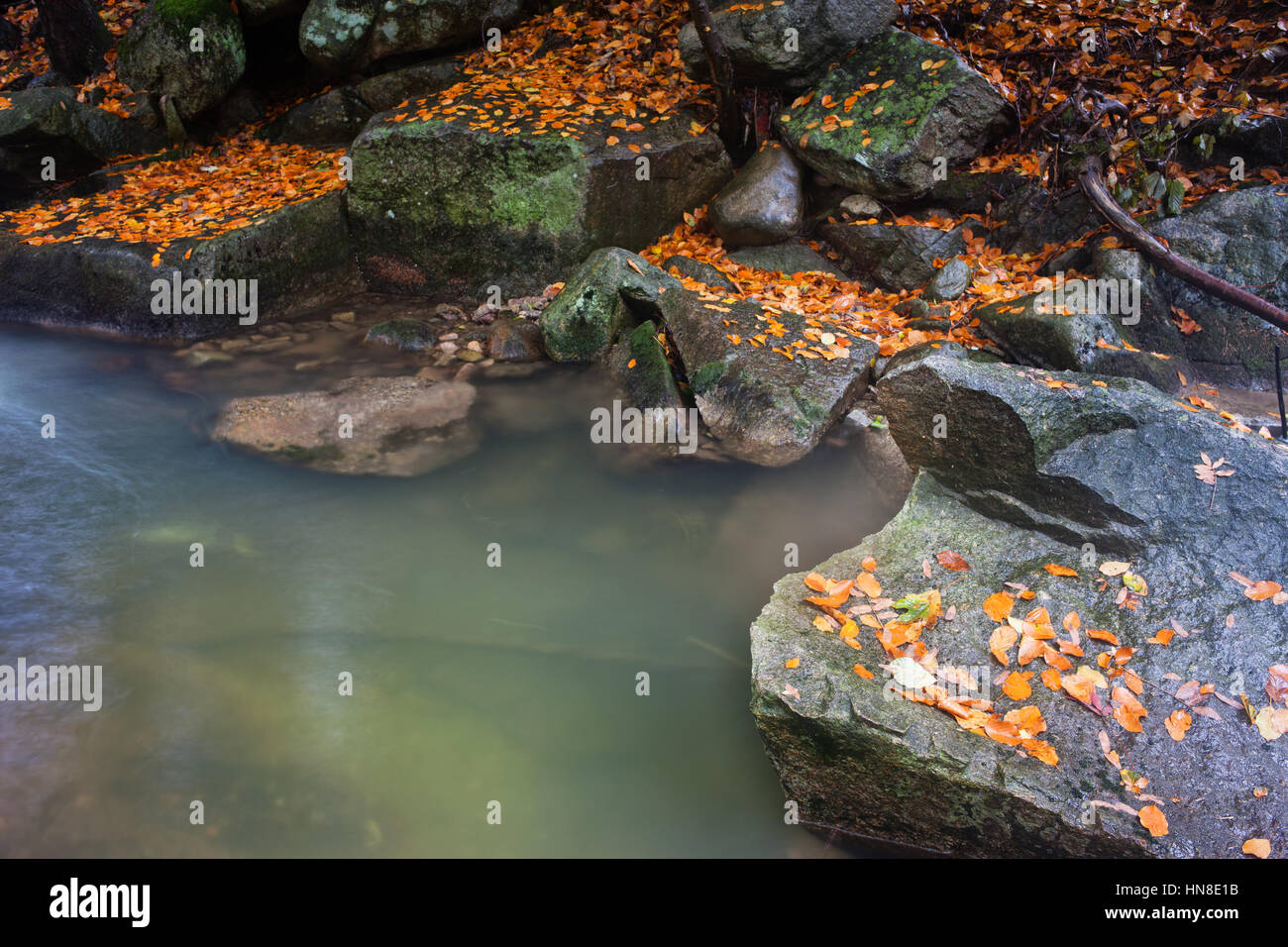 Les feuilles des rochers et les roches du ruisseau de montagne à l'automne Banque D'Images