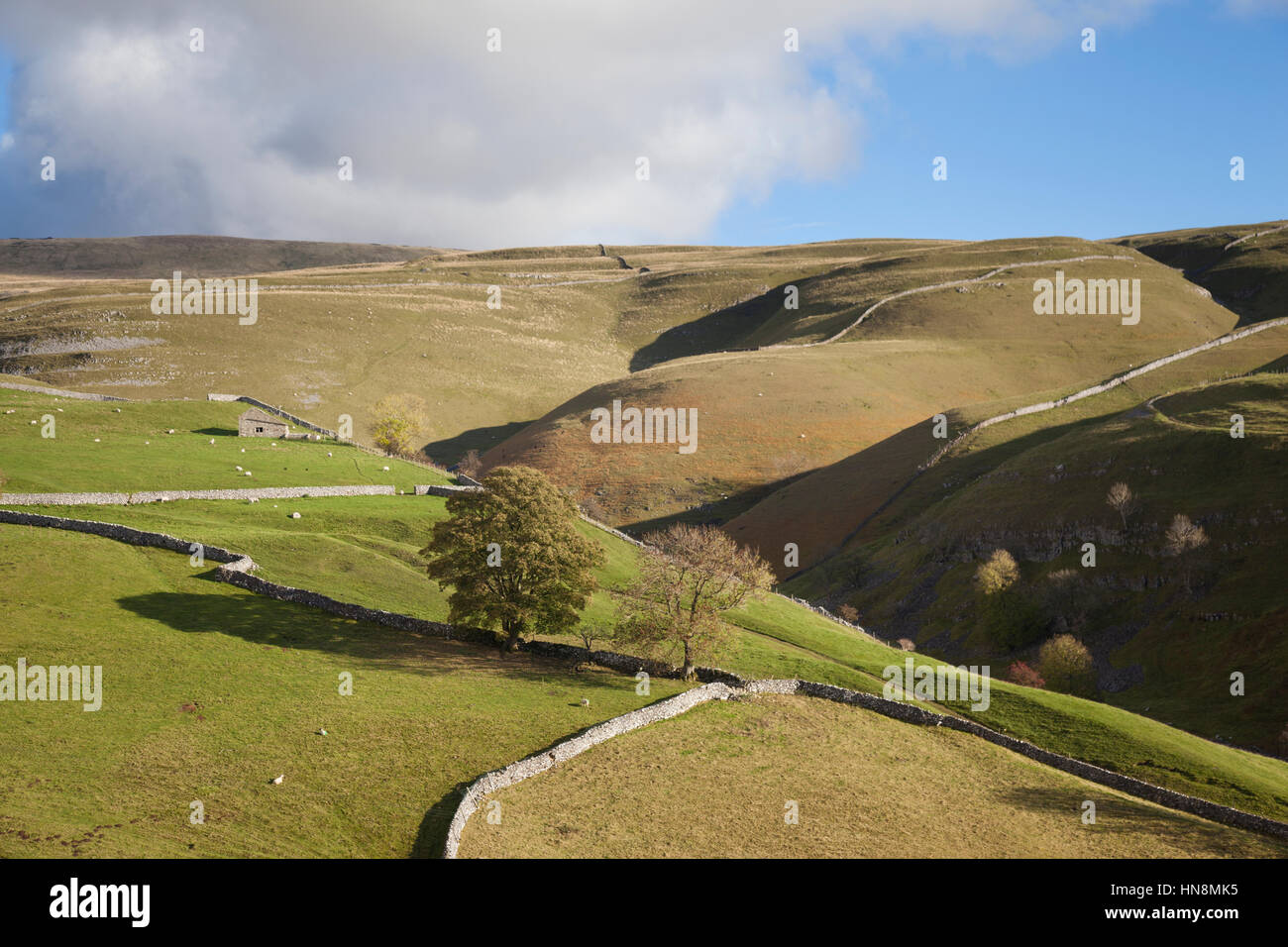 Vue sur campagne typique du Yorkshire à Dowber gill au-dessus de Kettlewell, Wharfedale, Yorkshire Dales National Park, North Yorkshire, UK Banque D'Images