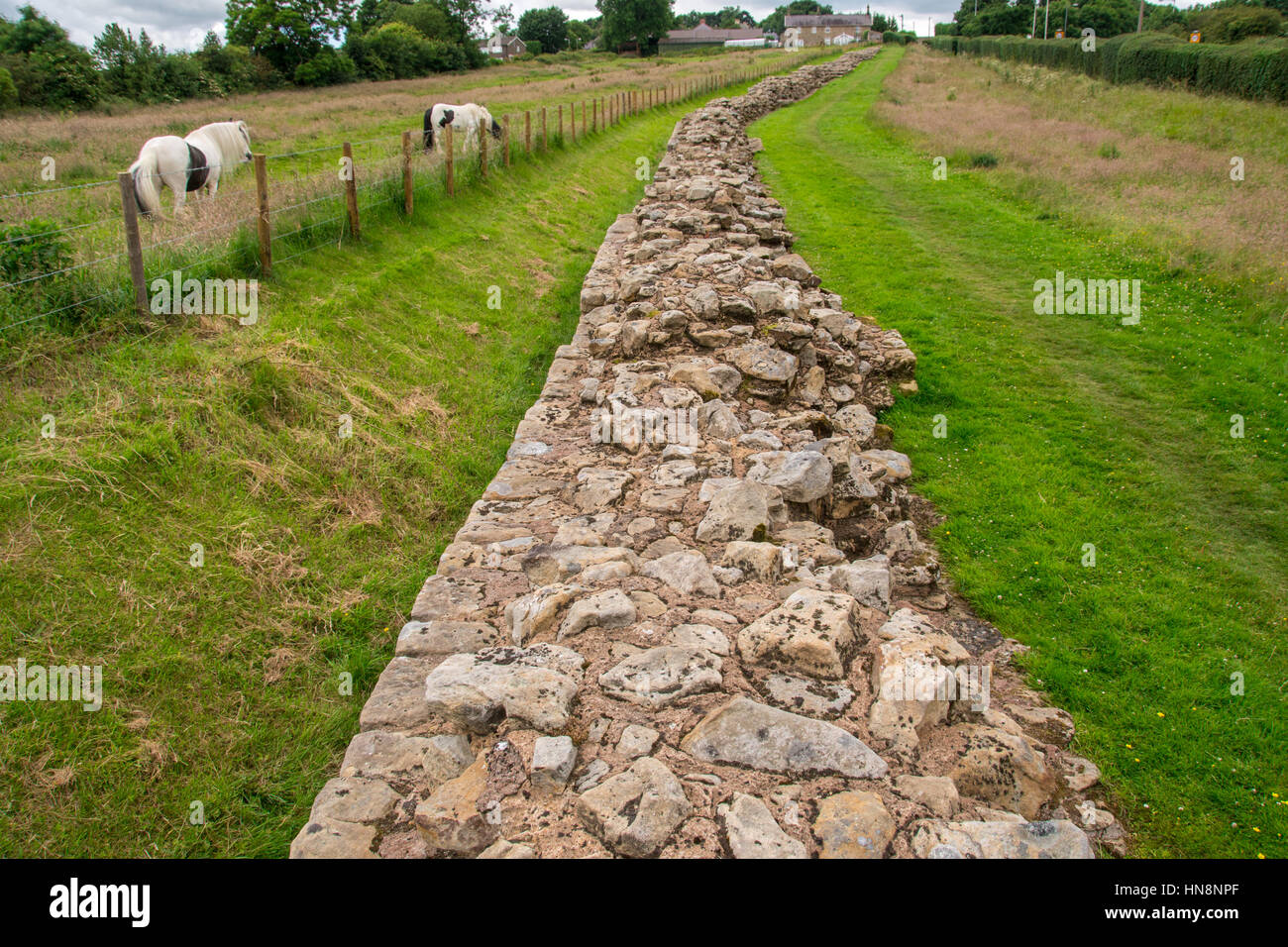 L'Angleterre, dans le Yorkshire, Newcastle - Mur d'Hadrien, également connu sous le nom de l'enceinte romaine, était une fortification défensive dans la province romaine de Britannia construit u Banque D'Images