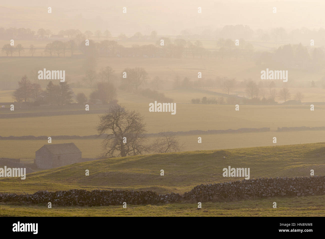 Misty vue sur les murs de pierres sèches et les champs de la manière de Wharfedale Dales sentier près de Grassington, Wharfedale, Yorkshire Dales National Park, Banque D'Images