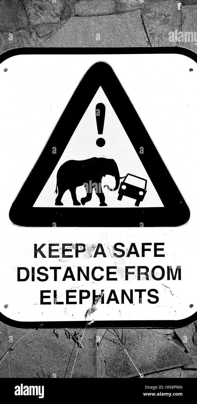 Blur en afrique du sud de près de l'inscription comme texture background Banque D'Images