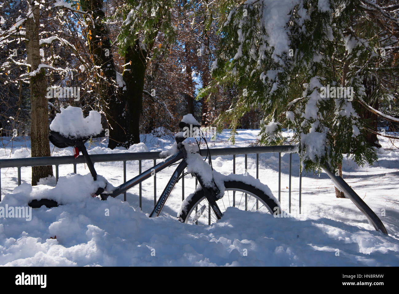 La vallée Yosemite, en Californie après de fortes sécheresses briser la neige en janvier 2017 Banque D'Images