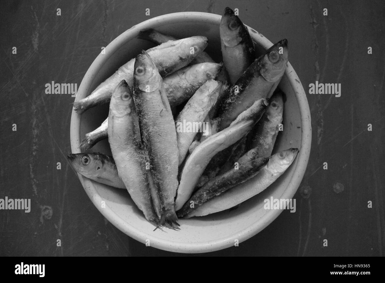 Peu de poissons congelés taille mise en gamme courte en noir et blanc. Non seulement pour manger, mais pour comprendre de la croissance Banque D'Images Peu de poissons congelés taille mise en gamme courte en noir et blanc. Non seulement pour manger, mais pour comprendre de la croissance Banque D'Images
