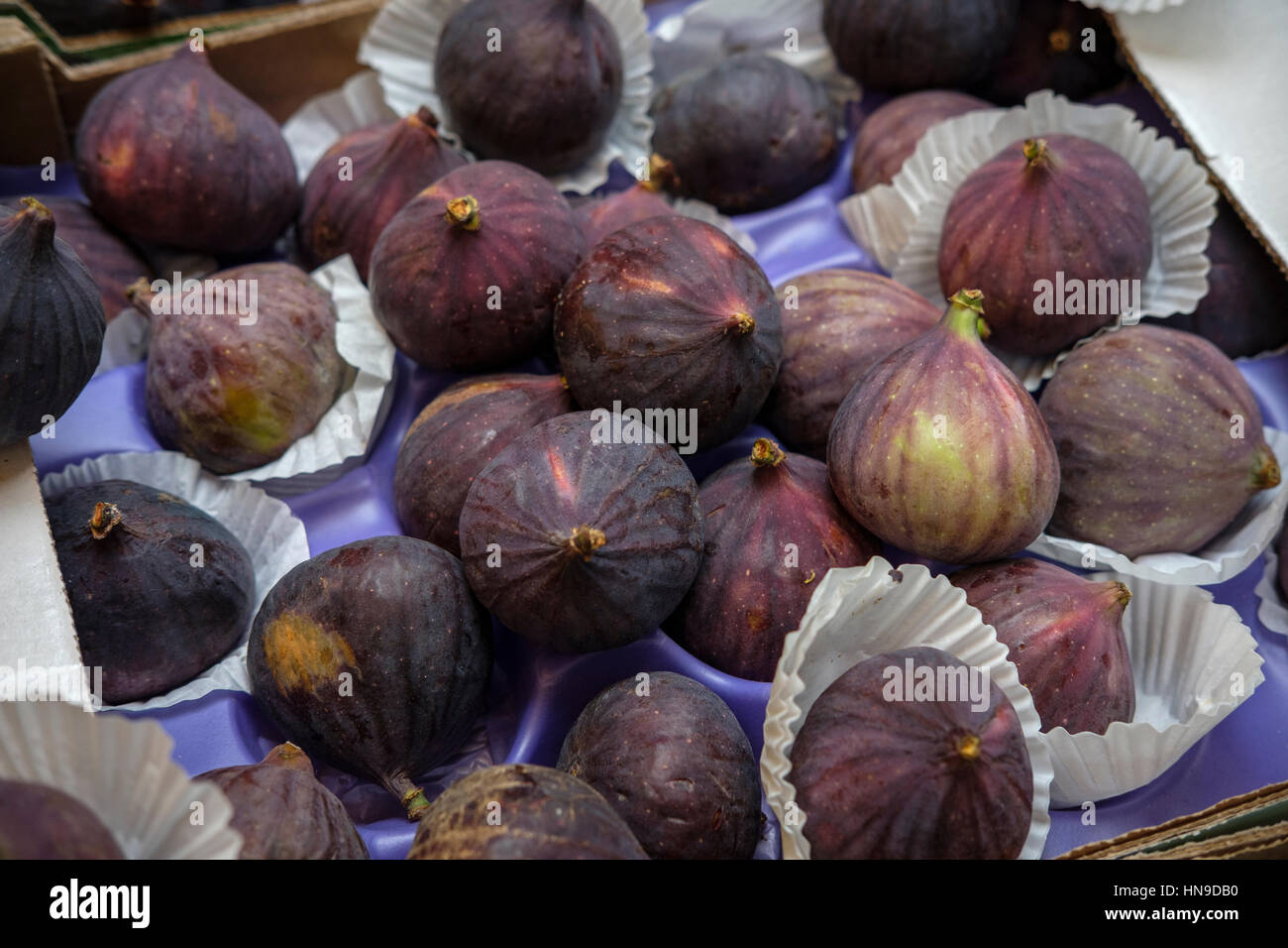Figues fraîches ,(Ficus carica)-Une excellente source de fibres et plein de vitamines et minéraux.Les figues sont riches en minéraux, dont le potassium, calcium, magnésium Banque D'Images