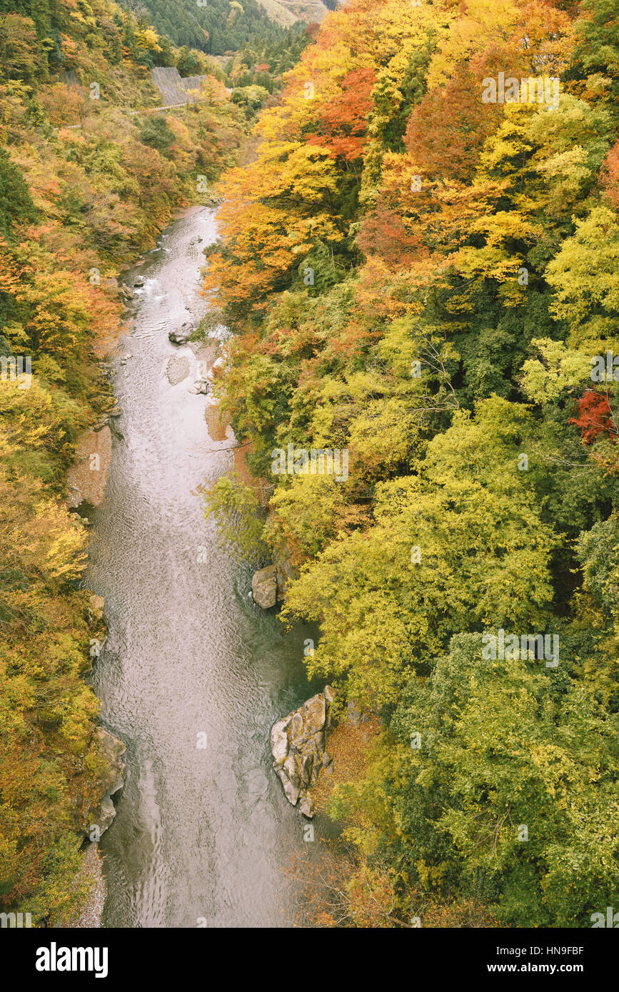 Cours d'eau et les feuilles d'automne à Okutama, Tokyo, Japon Banque D'Images