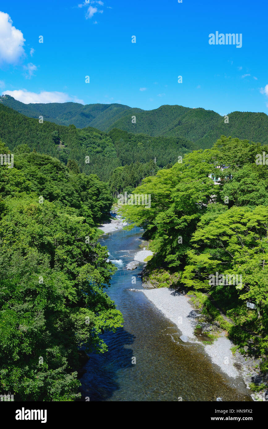 Frais vert à la vallée d'Otaki, Tokyo, Japon Banque D'Images