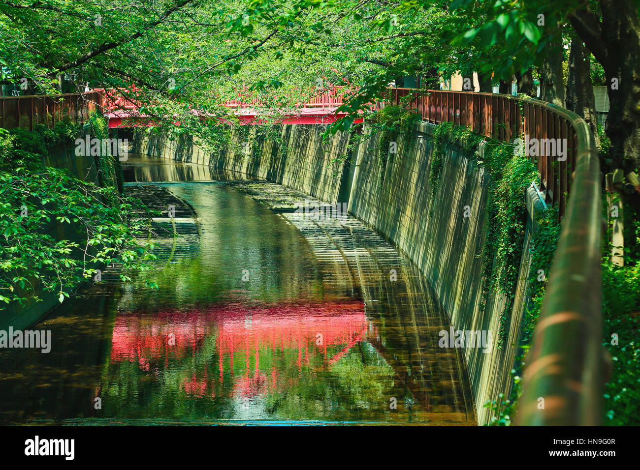 Au vert frais de la rivière Meguro, Tokyo, Japon Banque D'Images