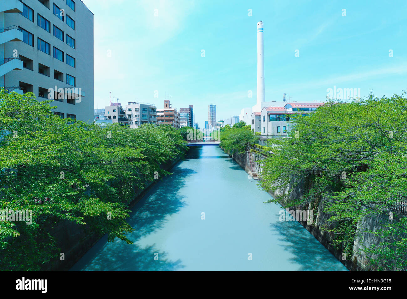 Au vert frais de la rivière Meguro, Tokyo, Japon Banque D'Images