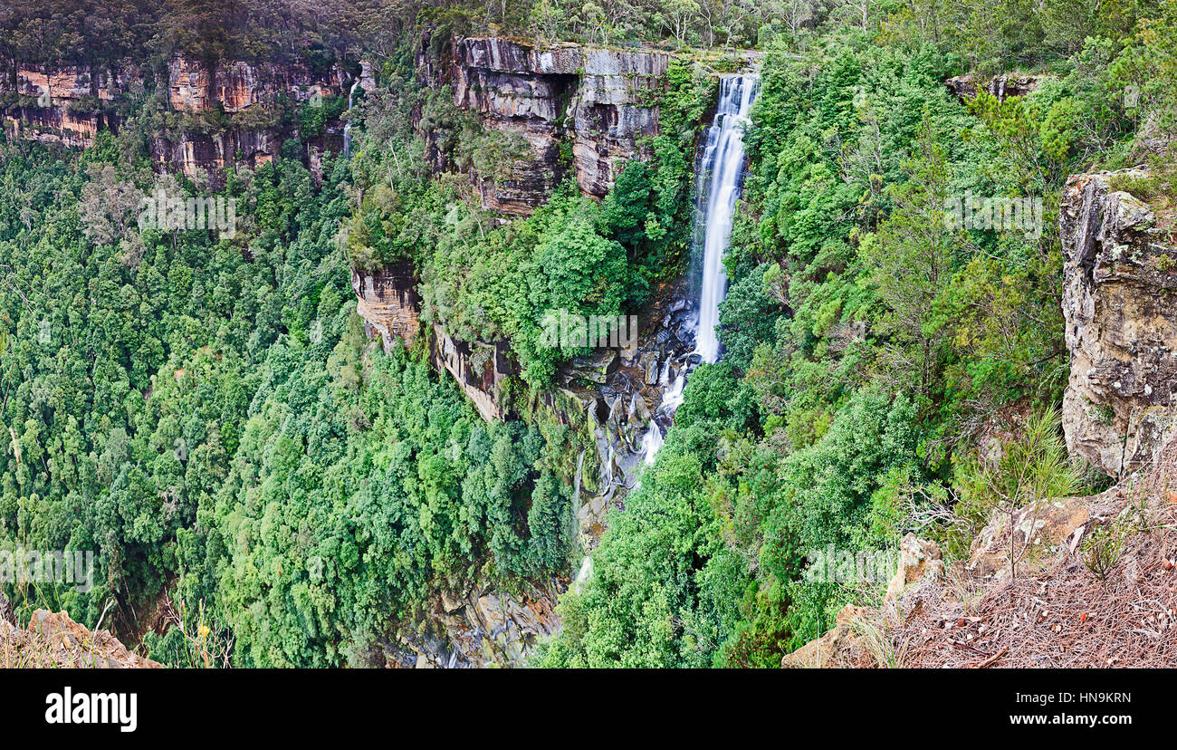 Panorama des chutes d'eau à double flux Yarrunga Valley dans le parc national de Morton, de l'Australie. Gumtrees Evergreen Forest deep dans le ruisseau et sur les s Banque D'Images