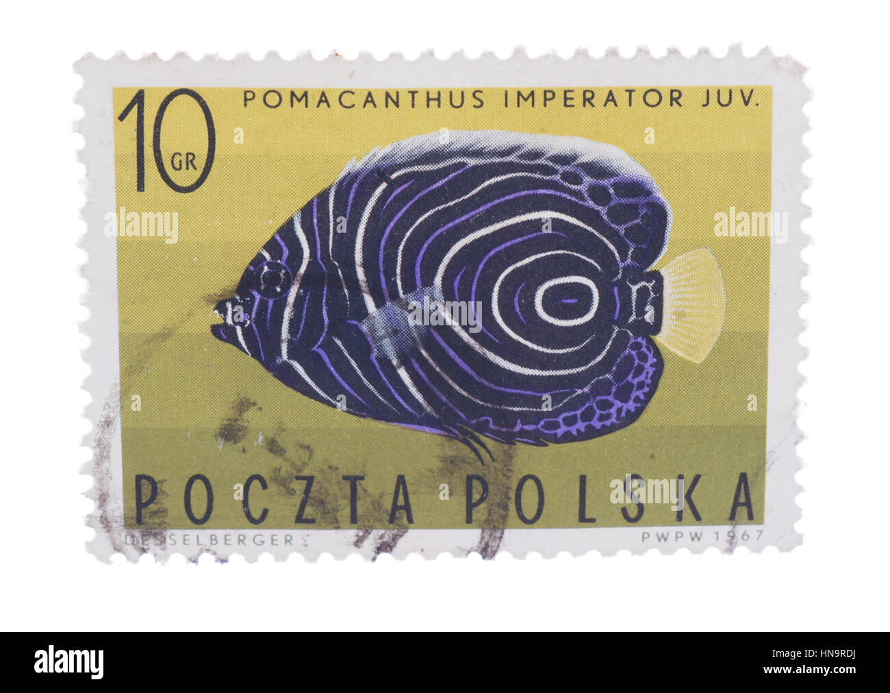 Pologne - circa 1967 : timbre imprimé en poissons montre , Imper Banque D'Images