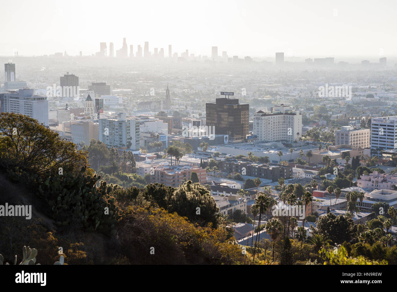 Hollywood, Californie, USA - 1 janvier 2015 : haze smog rempli matin ciel au-dessus de Hollywood et le centre-ville de Los Angeles en Californie du Sud. Banque D'Images