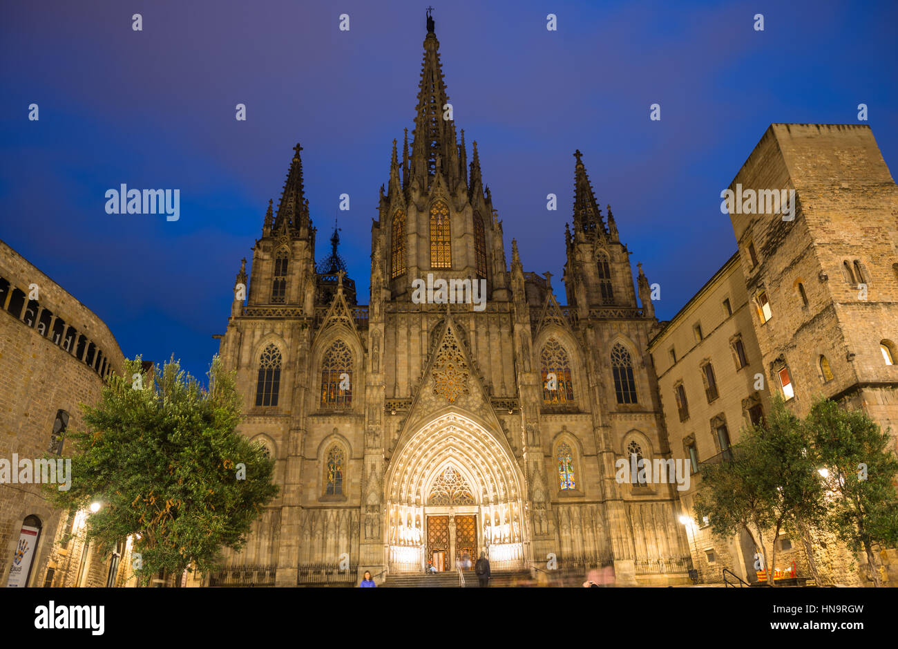 La Cathédrale de Barcelone de nuit, Catalogne, Espagne Banque D'Images