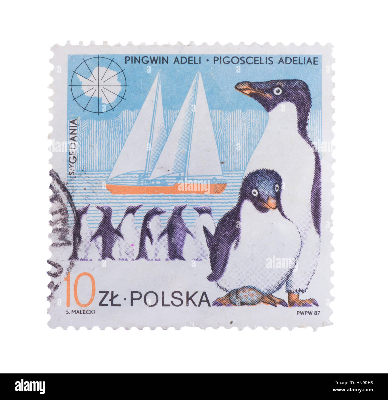 Pologne- circa 1987 : timbre imprimé en montre Penguin, cir Banque D'Images