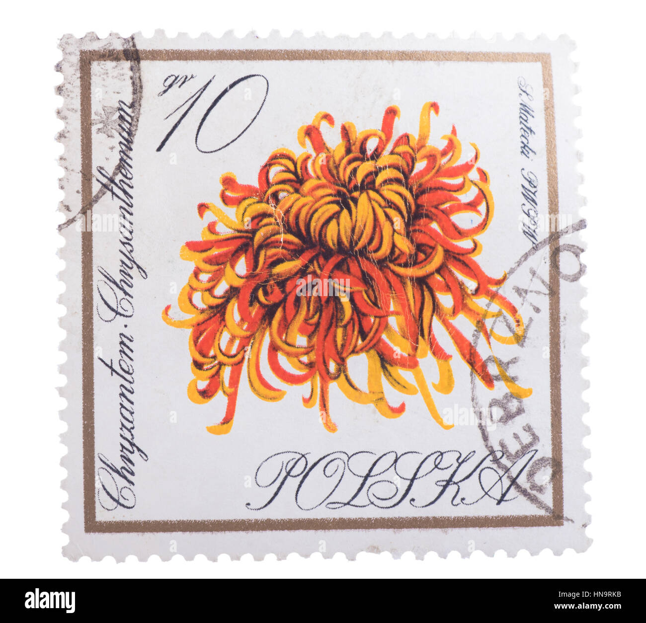 Pologne : timbres, en montre une illustration de jaune Banque D'Images